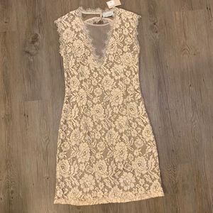 NEW Dress Forum tan lace dress
